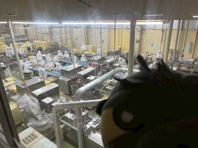 富士山さんの箱根湯寮のサ活写真