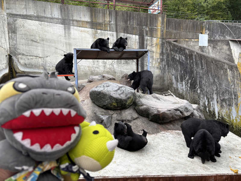 富士山さんの白峰温泉 総湯のサ活写真