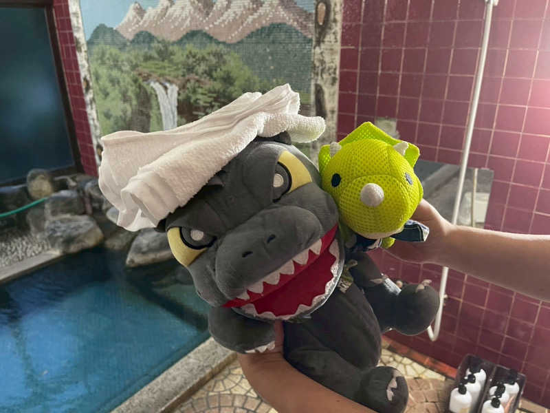 富士山さんの白峰温泉 総湯のサ活写真