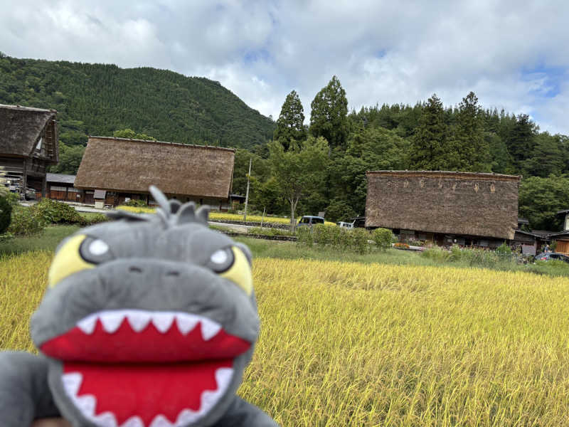 富士山さんの白峰温泉 総湯のサ活写真