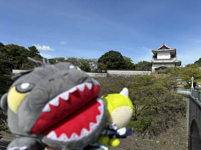 富士山さんの氷見温泉郷 総湯のサ活写真