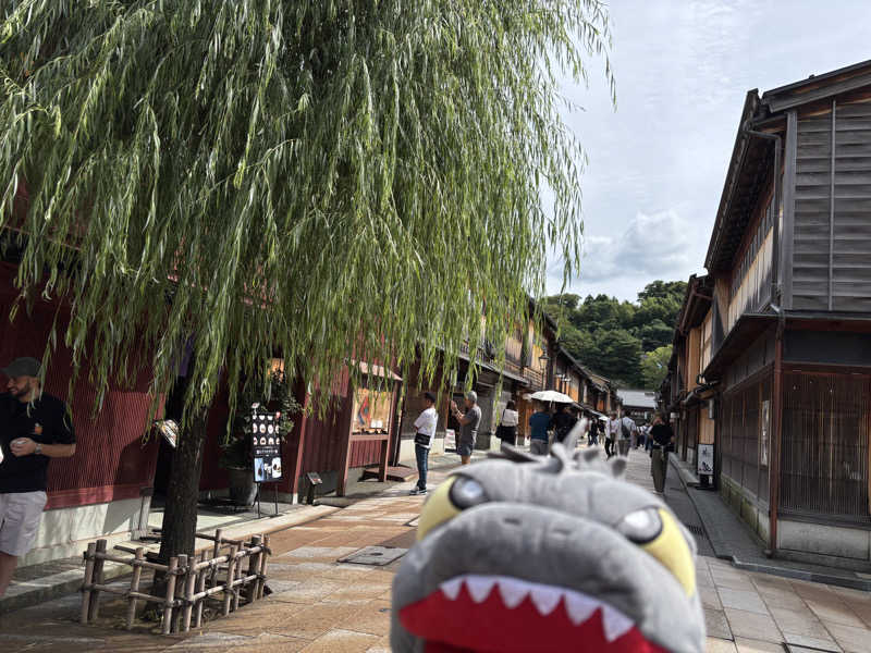 富士山さんの氷見温泉郷 総湯のサ活写真