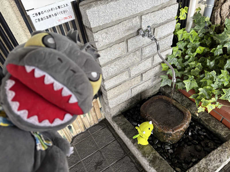 富士山さんのスパ・アルプスのサ活写真