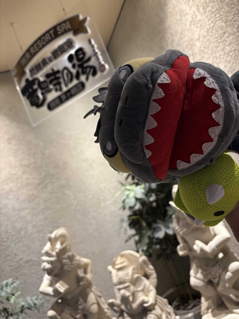 富士山さんの湘南RESORT SPA 竜泉寺の湯 湘南茅ヶ崎店のサ活写真