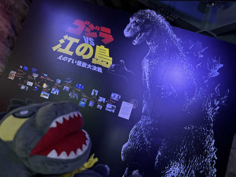 富士山さんの湘南RESORT SPA 竜泉寺の湯 湘南茅ヶ崎店のサ活写真