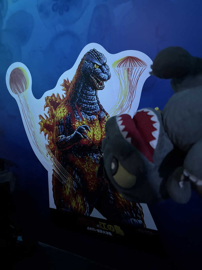 富士山さんの湘南RESORT SPA 竜泉寺の湯 湘南茅ヶ崎店のサ活写真