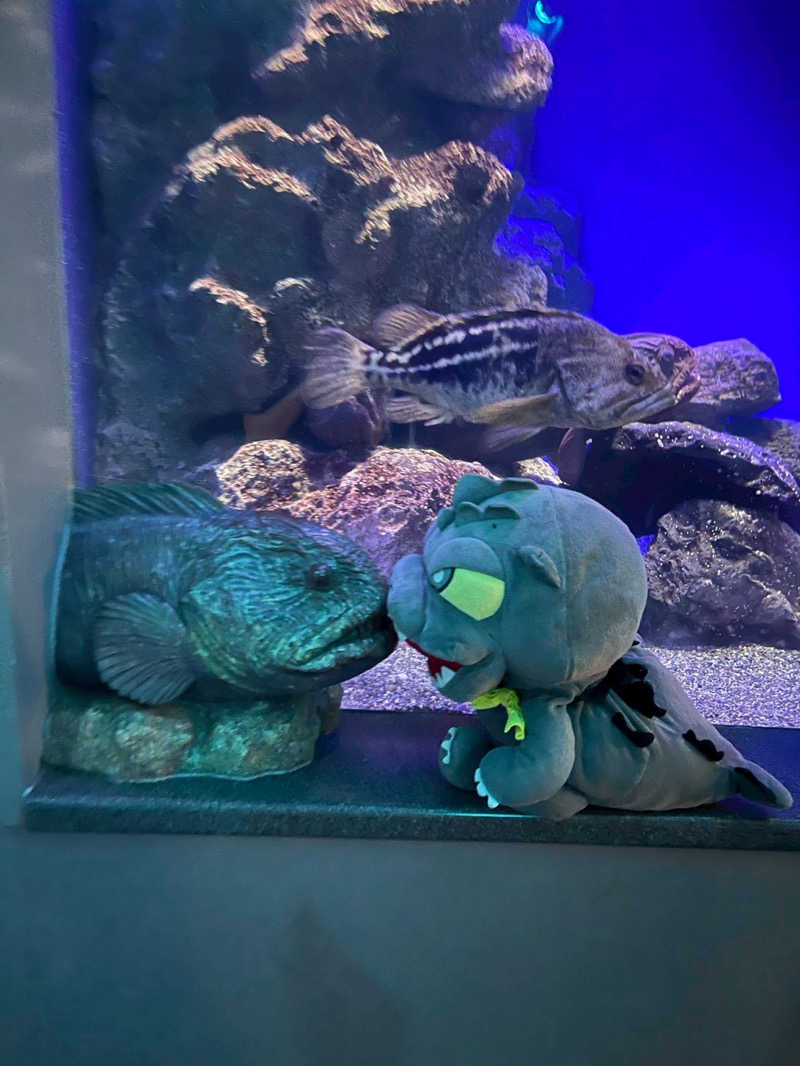 富士山さんの湘南RESORT SPA 竜泉寺の湯 湘南茅ヶ崎店のサ活写真