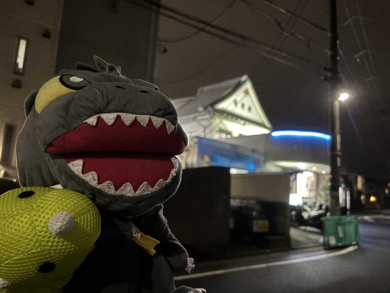 富士山さんの亀遊舘のサ活写真