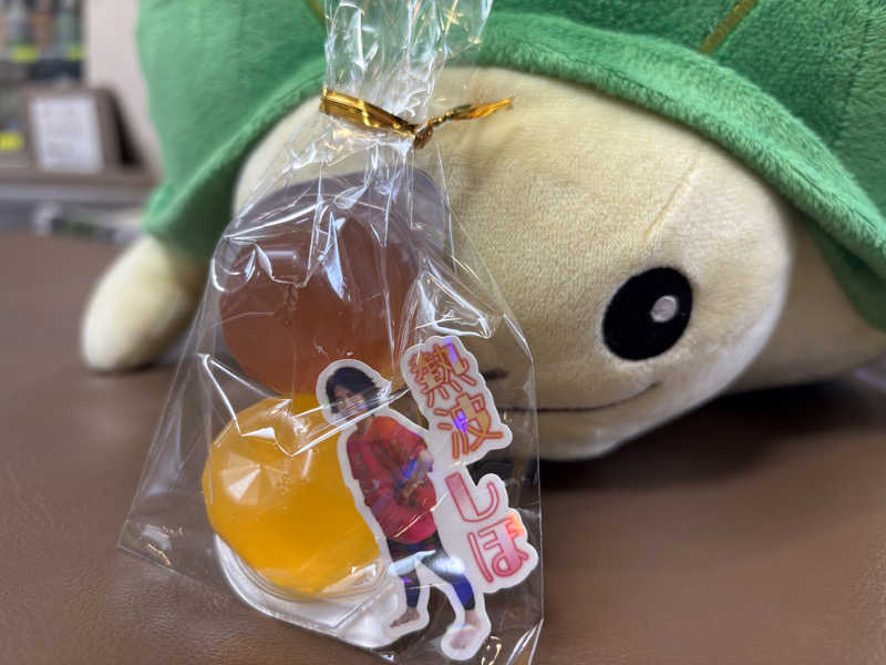 富士山さんの亀遊舘のサ活写真