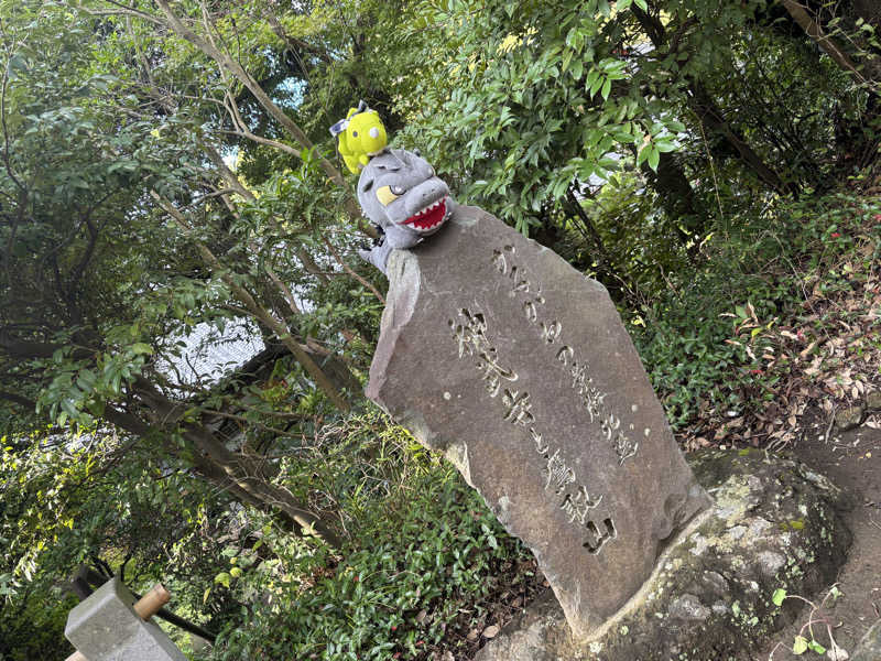 富士山さんの亀遊舘のサ活写真