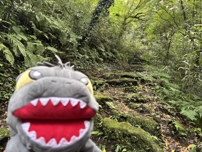 富士山さんの亀遊舘のサ活写真