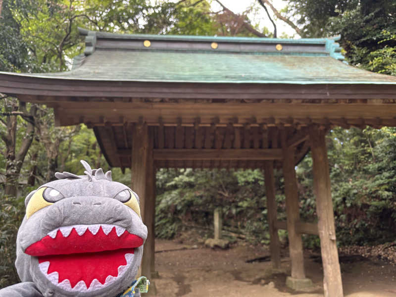 富士山さんの亀遊舘のサ活写真