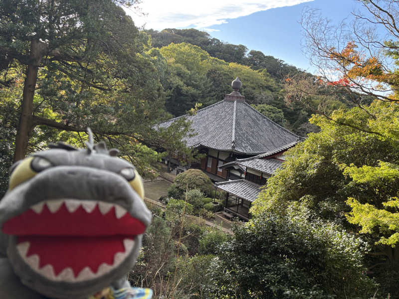 富士山さんの亀遊舘のサ活写真