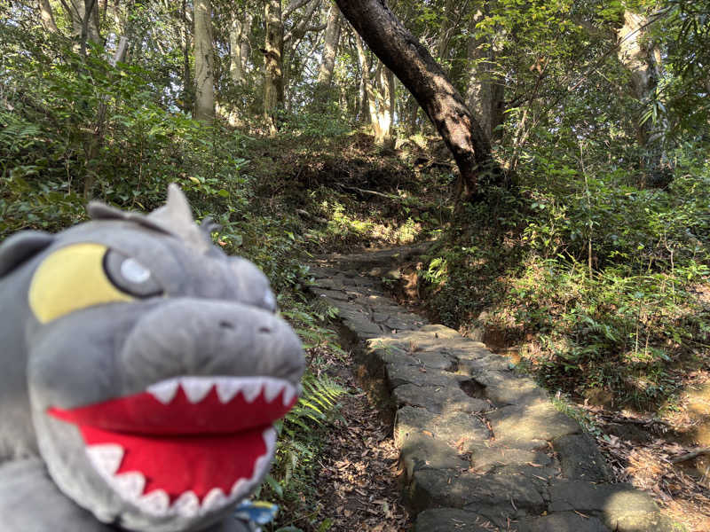 富士山さんの亀遊舘のサ活写真