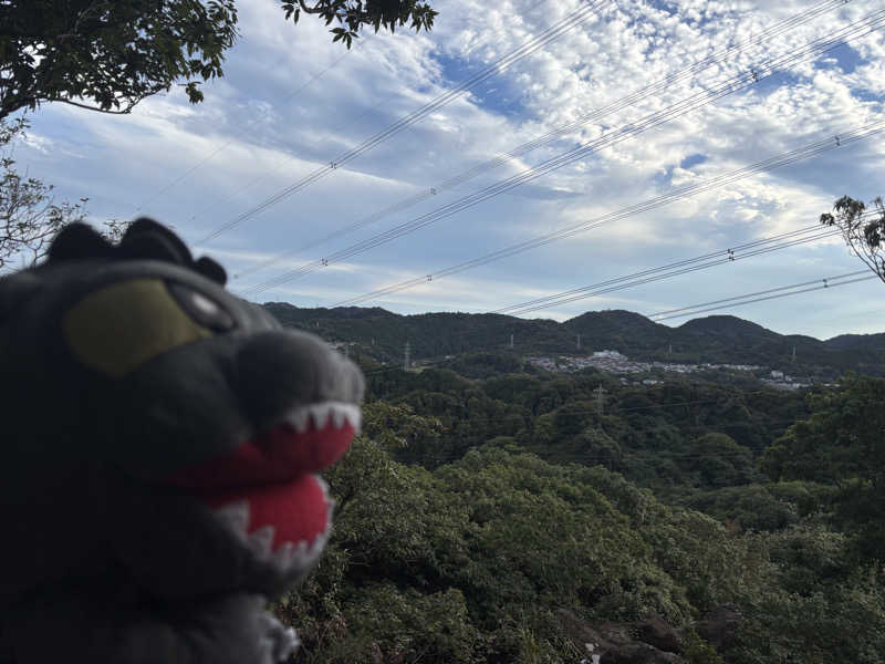 富士山さんの亀遊舘のサ活写真