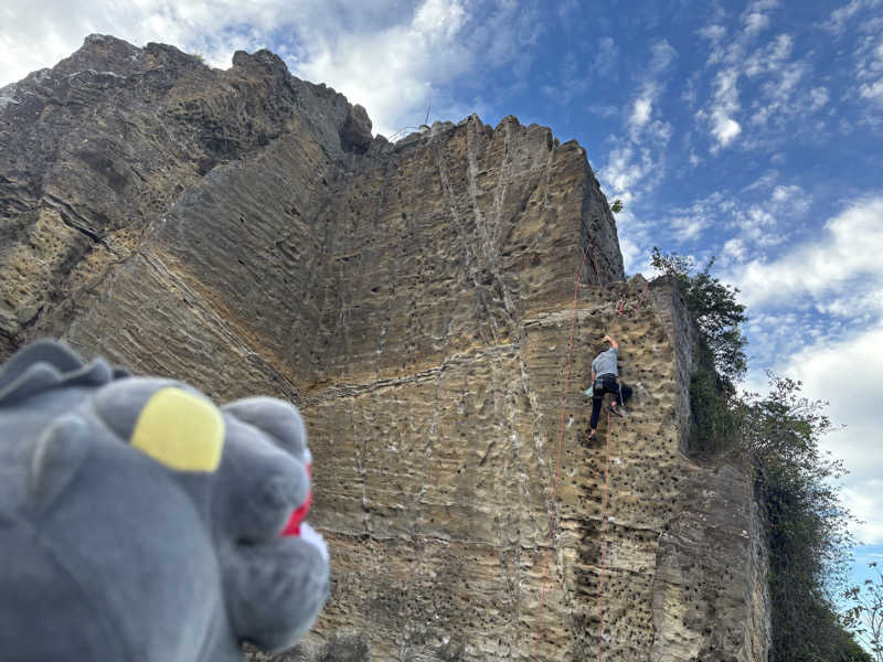 富士山さんの亀遊舘のサ活写真
