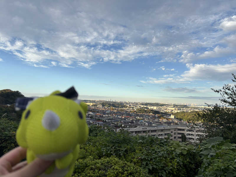 富士山さんの亀遊舘のサ活写真