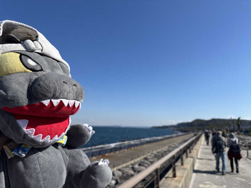 富士山さんの横須賀温泉 湯楽の里のサ活写真