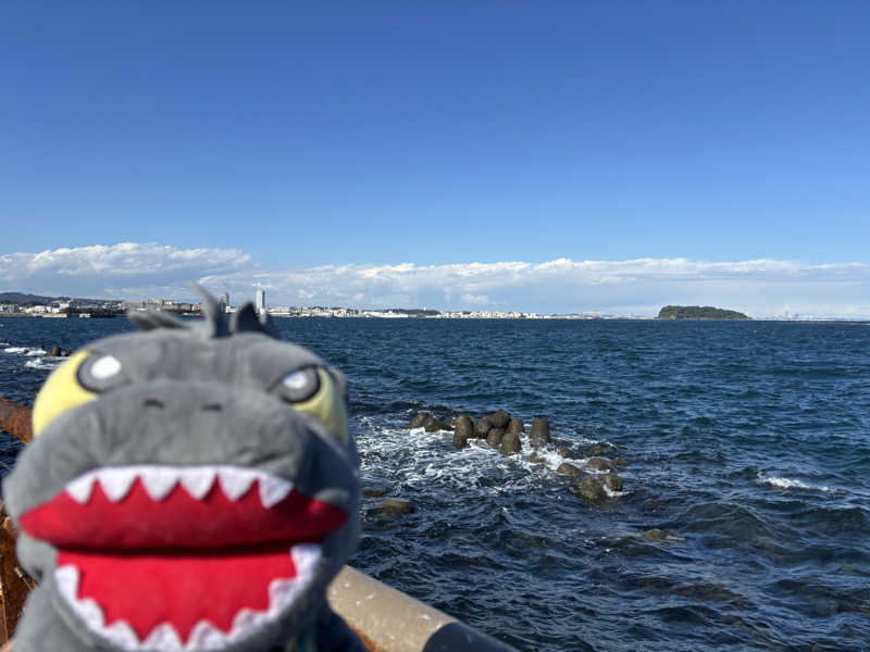 富士山さんの横須賀温泉 湯楽の里のサ活写真