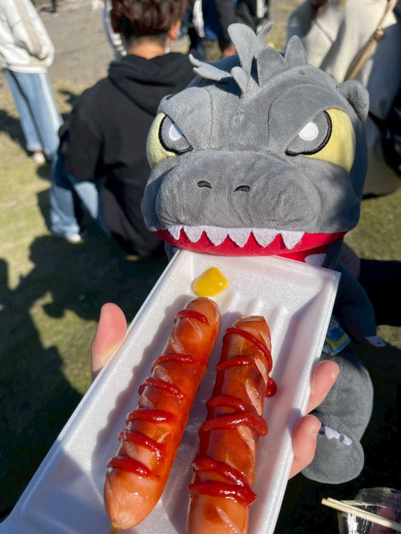 富士山さんの横須賀温泉 湯楽の里のサ活写真