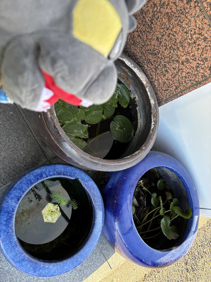 富士山さんのやすらぎ温泉のサ活写真