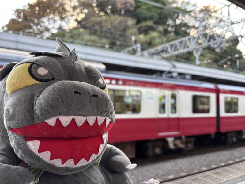 富士山さんのやすらぎの湯 万葉(万葉湯)のサ活写真