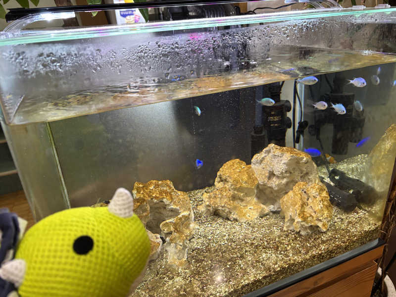 富士山さんのやすらぎの湯 万葉(万葉湯)のサ活写真