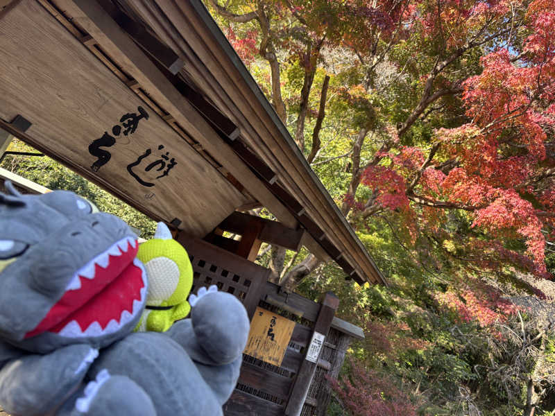 富士山さんの天山湯治郷 ひがな湯治 天山のサ活写真