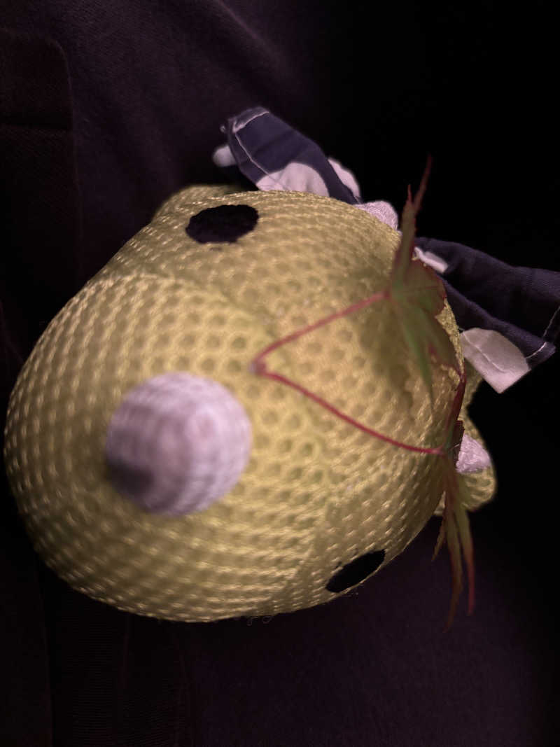 富士山さんの天山湯治郷 ひがな湯治 天山のサ活写真