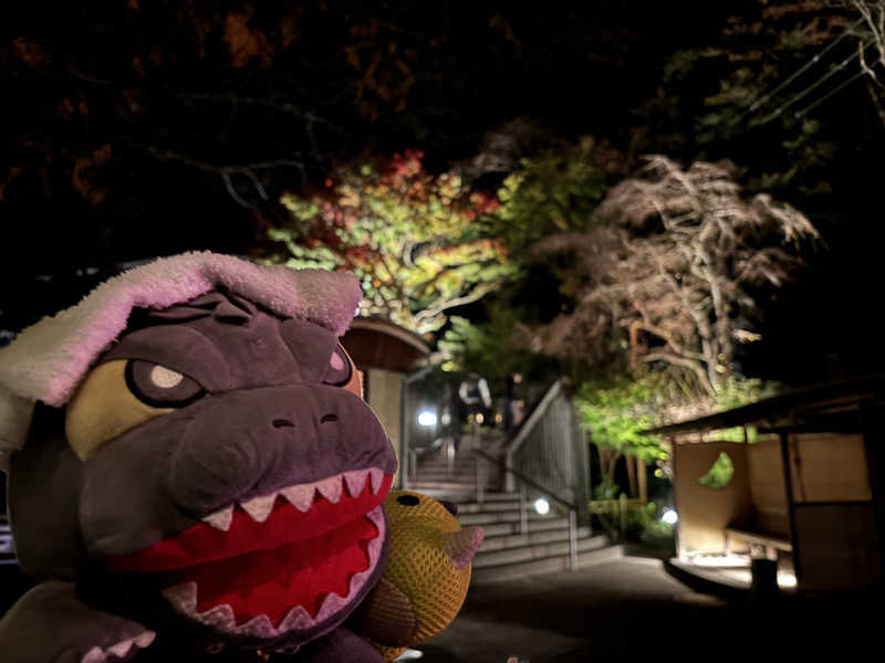 富士山さんの天山湯治郷 ひがな湯治 天山のサ活写真