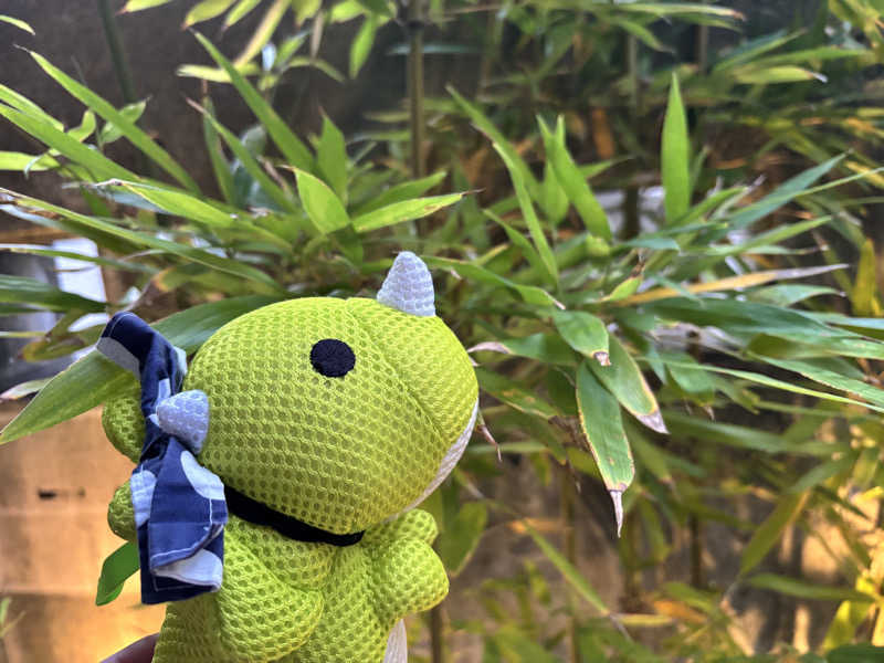 富士山さんの佐野天然温泉 湯処 のぼり雲のサ活写真