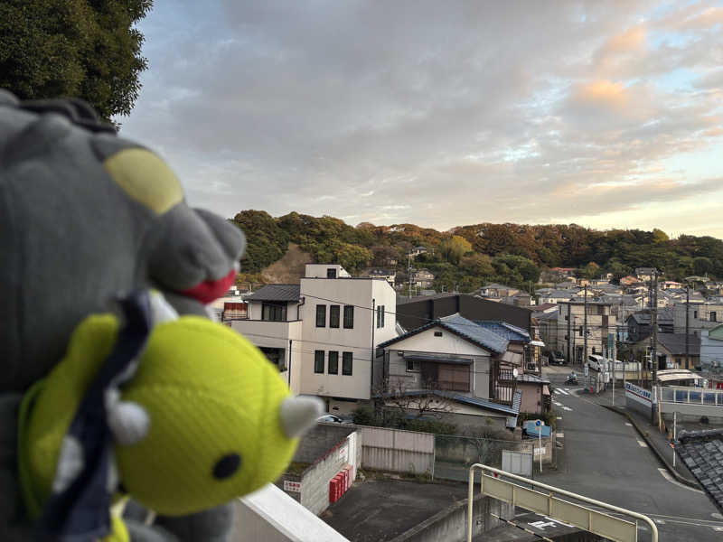富士山さんの佐野天然温泉 湯処 のぼり雲のサ活写真