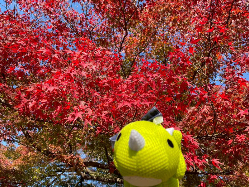 富士山さんの四日市温泉 おふろcafé 湯守座のサ活写真