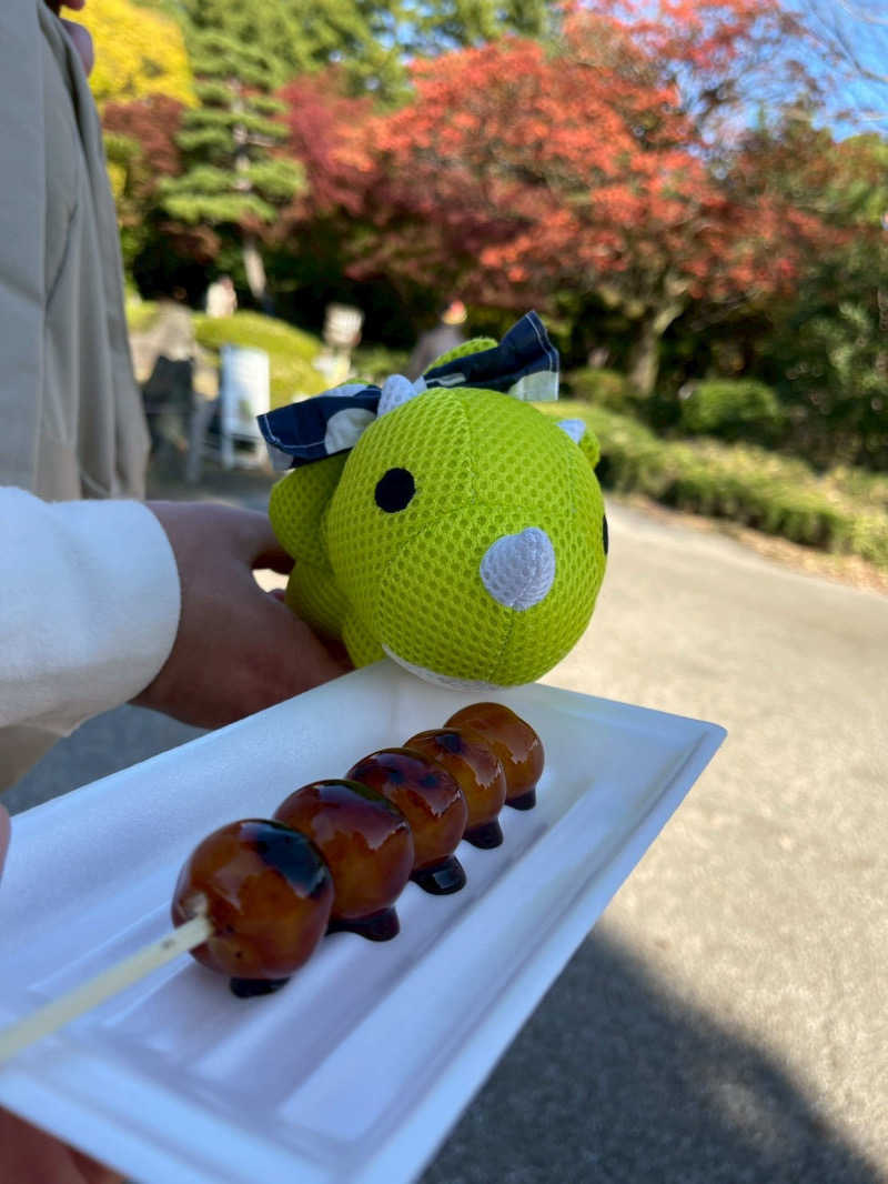 富士山さんの四日市温泉 おふろcafé 湯守座のサ活写真