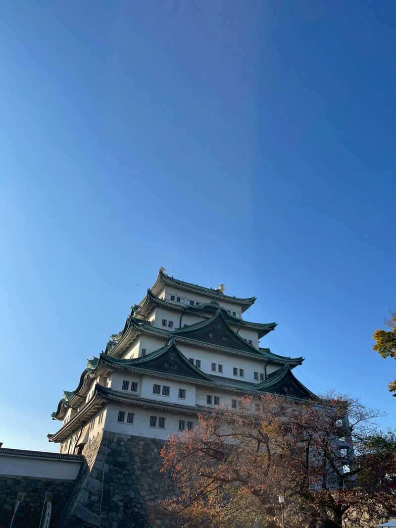 富士山さんの四日市温泉 おふろcafé 湯守座のサ活写真