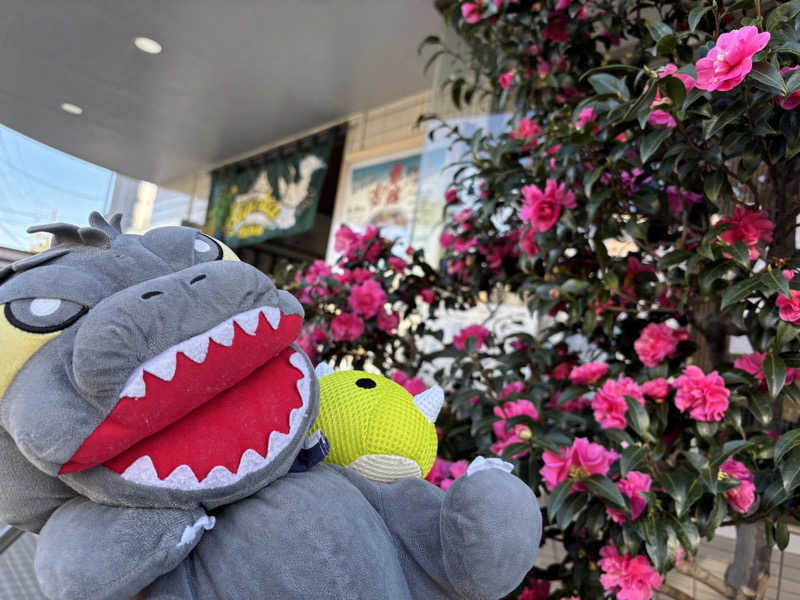 富士山さんの亀遊舘のサ活写真