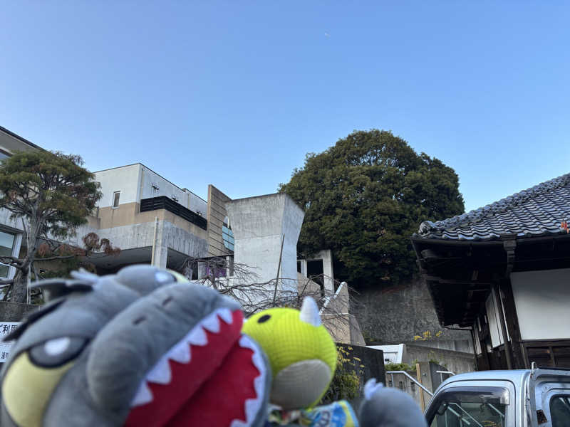 富士山さんの佐野天然温泉 湯処 のぼり雲のサ活写真