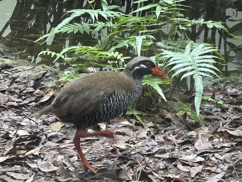 富士山さんの太古海水天然温泉「浦添の湯」のサ活写真