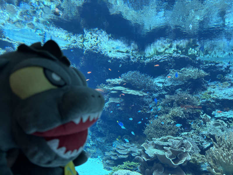 富士山さんの沖縄健康サウナのサ活写真