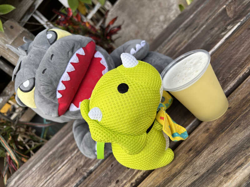 富士山さんの沖縄健康サウナのサ活写真