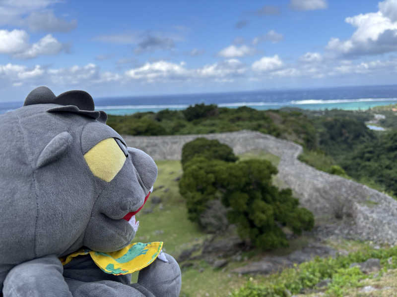 富士山さんの沖縄健康サウナのサ活写真