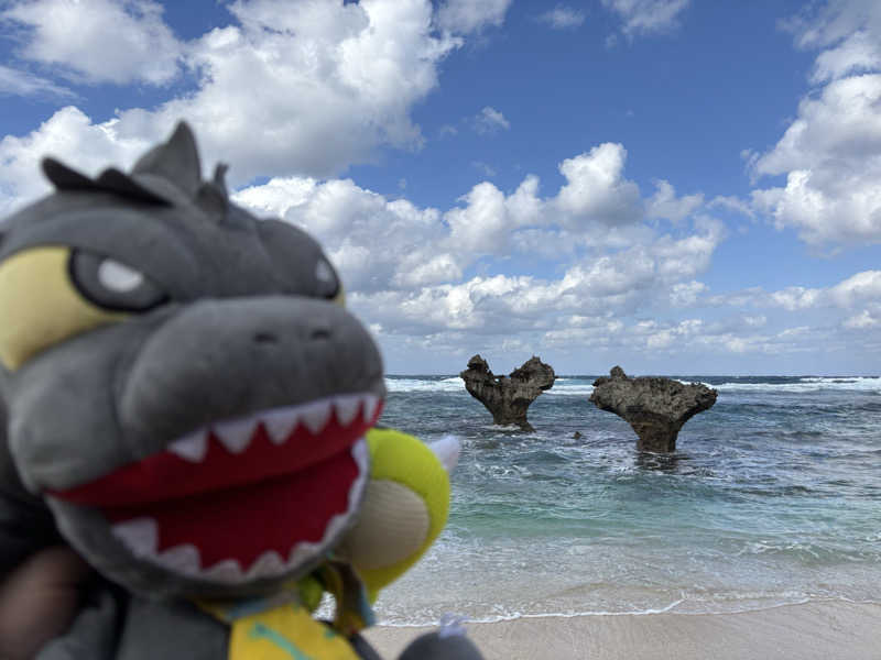 富士山さんの沖縄健康サウナのサ活写真