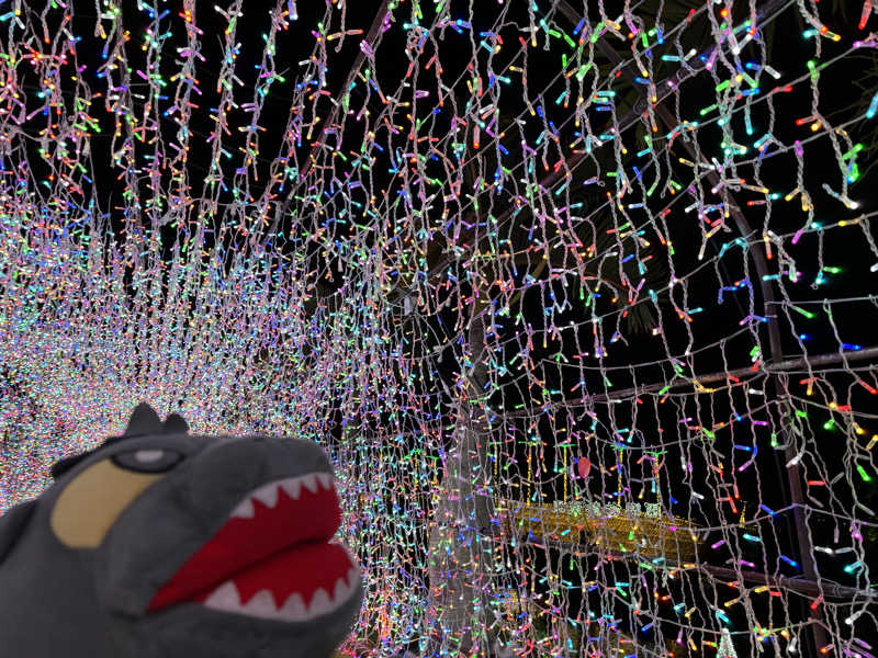 富士山さんの沖縄健康サウナのサ活写真