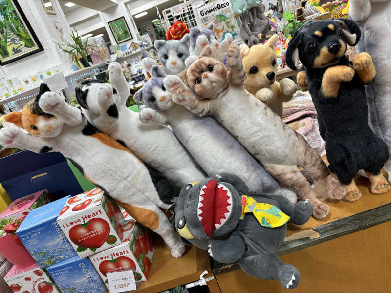 富士山さんの沖縄健康サウナのサ活写真