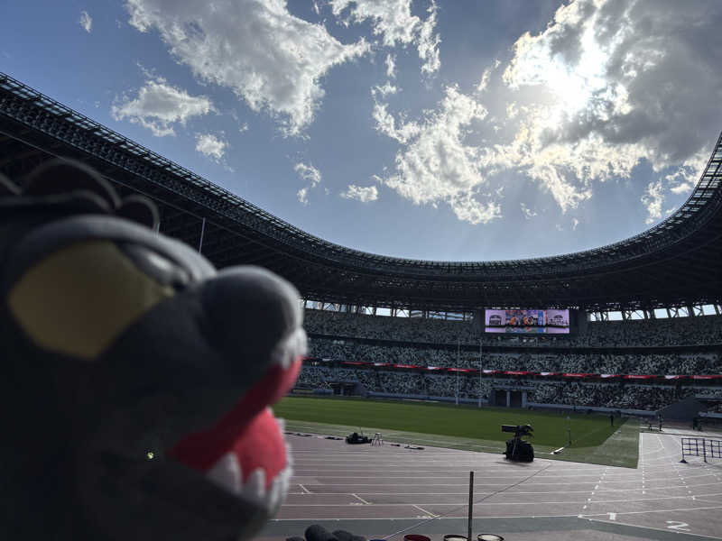 富士山さんの亀遊舘のサ活写真