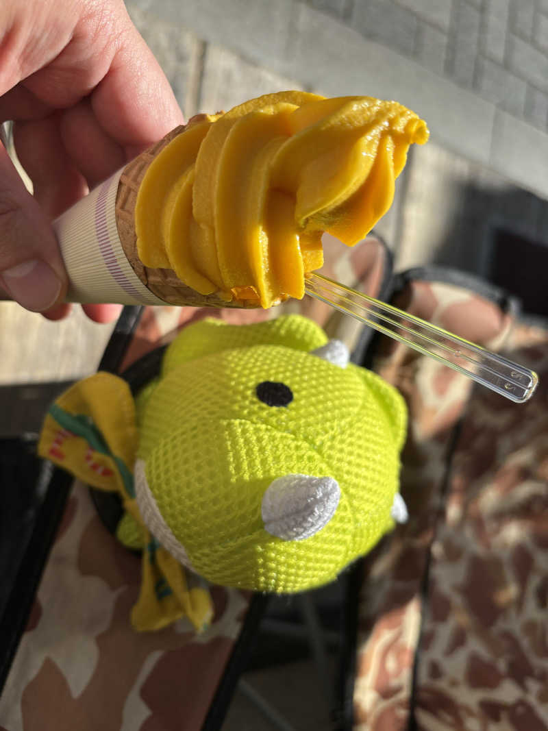 富士山さんの亀遊舘のサ活写真