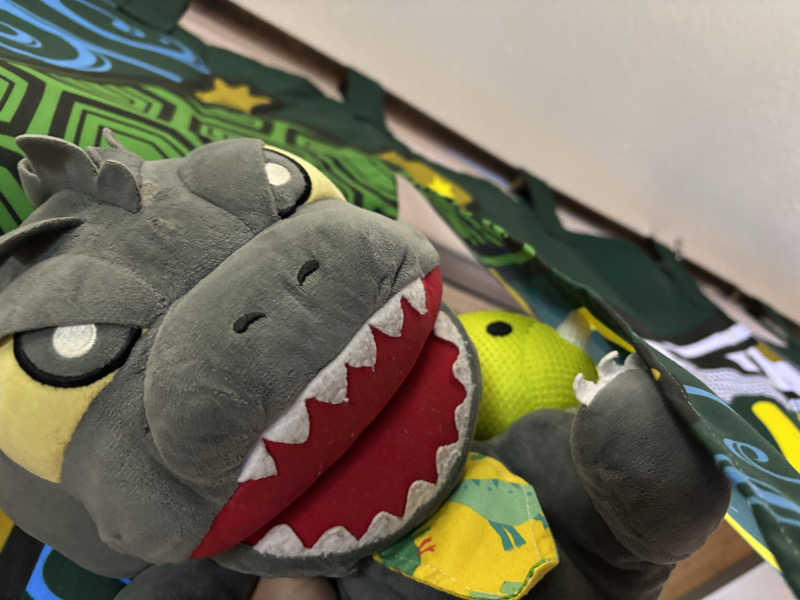 富士山さんの亀遊舘のサ活写真