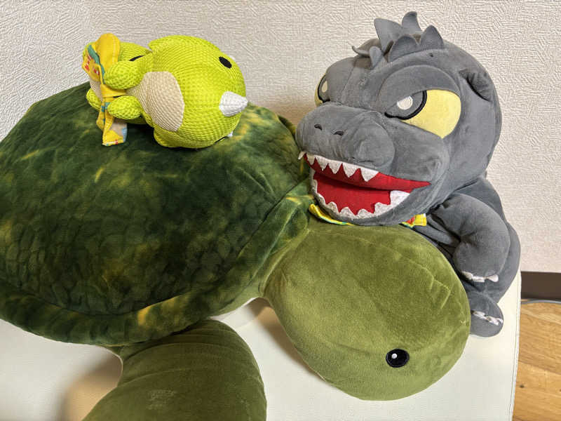 富士山さんの亀遊舘のサ活写真