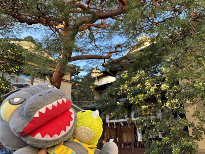 富士山さんの天然温泉 小田原コロナの湯のサ活写真