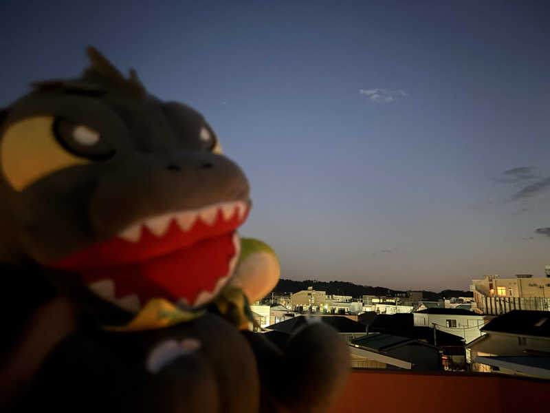 富士山さんの御成桑拿のサ活写真